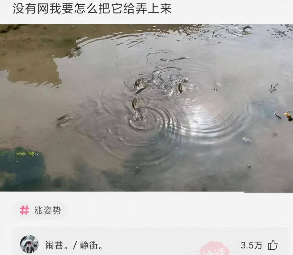 皇冠信用网怎么弄_「盐选神回复」没有网我要怎么把它给弄上来皇冠信用网怎么弄?
