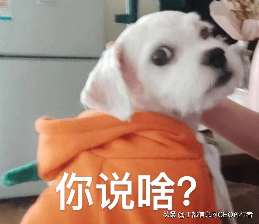 如何申请皇冠信用网_于都网约车驾驶证如何办理?申请材料、条件、流程一文读懂如何申请皇冠信用网!