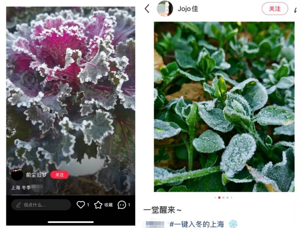 皇冠信用网会员开户_最新确认!上海傍晚起受影响皇冠信用网会员开户,可达中度污染