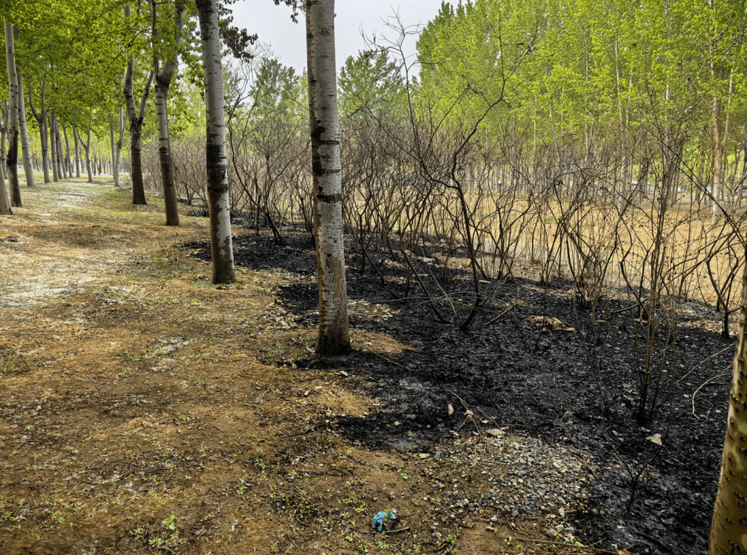奇幻赛事
_手太欠！北京警方：林某某（18岁）奇幻赛事
，拘