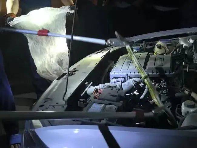 WNBA比分
_太吓人！深圳16天接警232宗！“抓不完WNBA比分
，根本抓不完……”