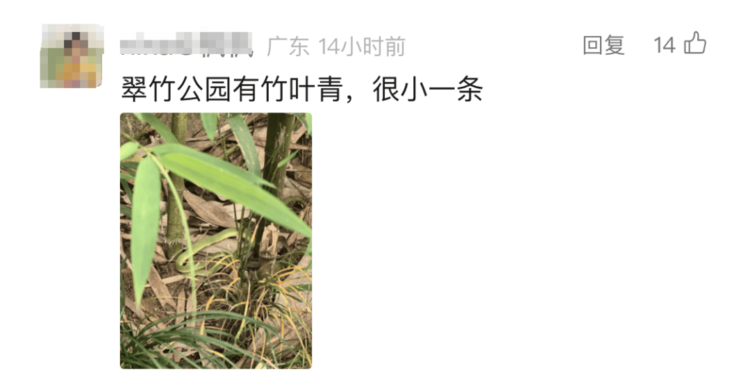 WNBA比分
_太吓人！深圳16天接警232宗！“抓不完WNBA比分
，根本抓不完……”