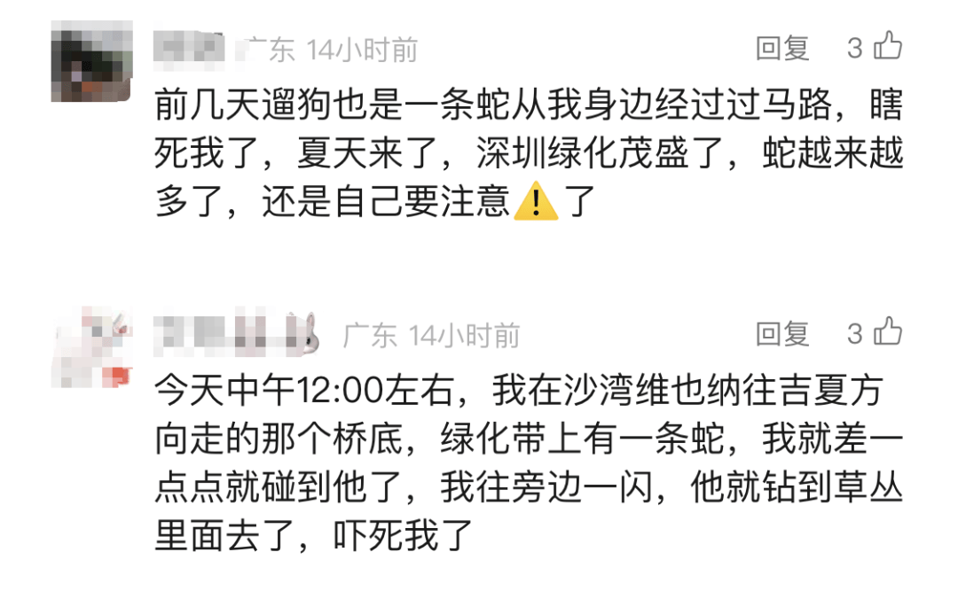 WNBA比分
_太吓人！深圳16天接警232宗！“抓不完WNBA比分
，根本抓不完……”