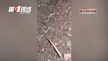 WNBA比分
_太吓人！深圳16天接警232宗！“抓不完WNBA比分
，根本抓不完……”