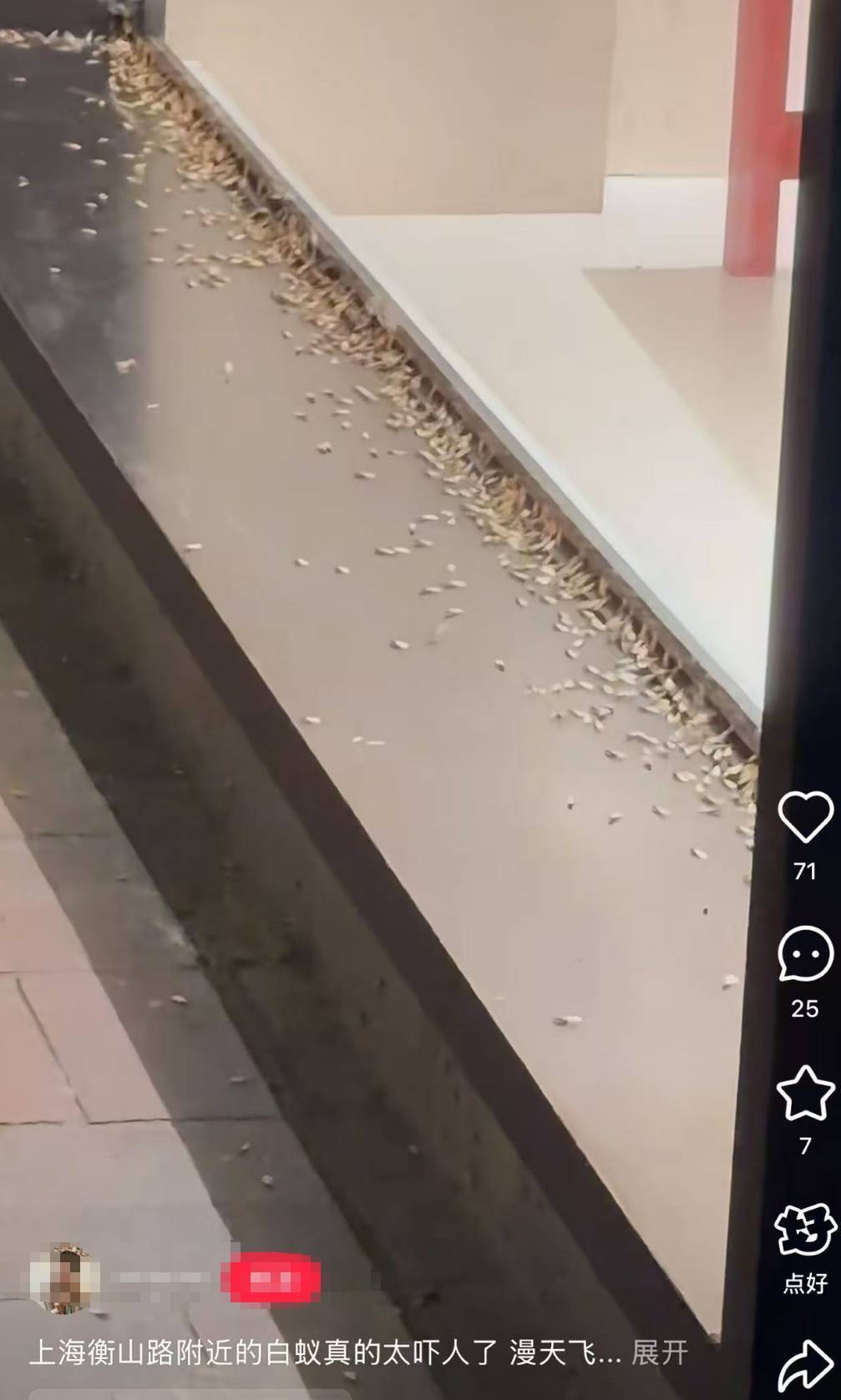 WNBA成绩
_紧急提醒：瞬间爆发！上海市民崩溃：密密麻麻WNBA成绩
，蠕蠕爬行...“梧桐区”已开始战斗，白蚁或提前分飞