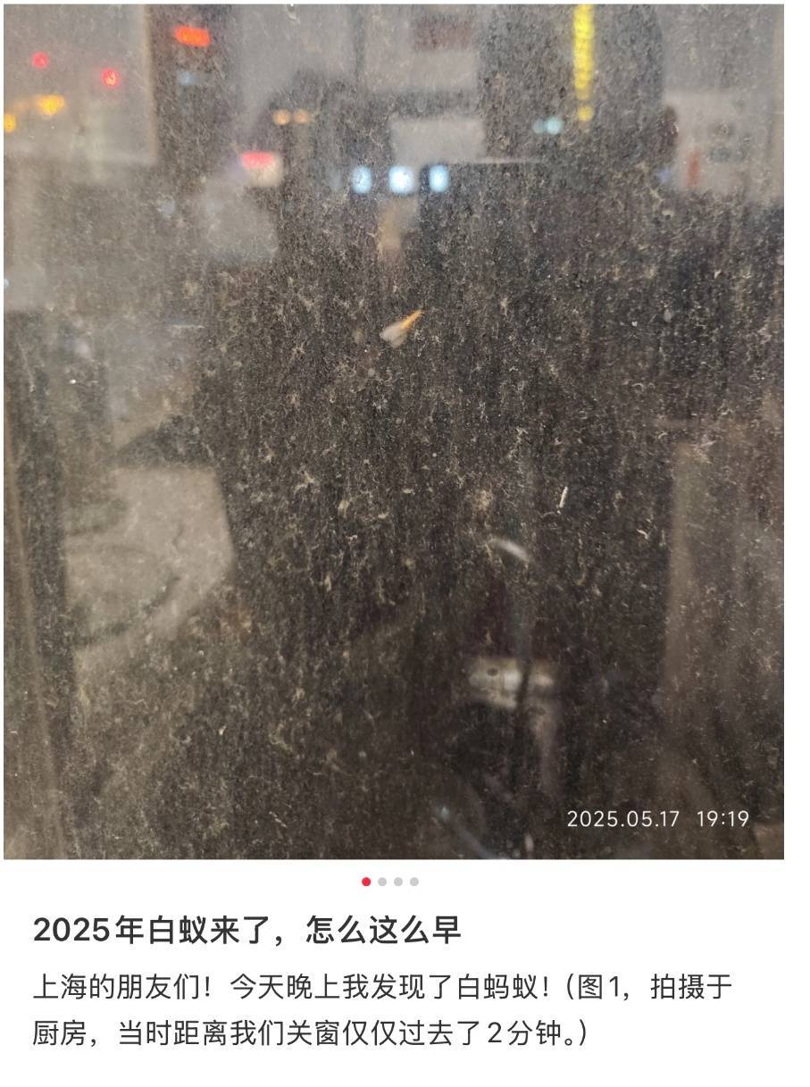 WNBA成绩
_紧急提醒：瞬间爆发！上海市民崩溃：密密麻麻WNBA成绩
，蠕蠕爬行...“梧桐区”已开始战斗，白蚁或提前分飞