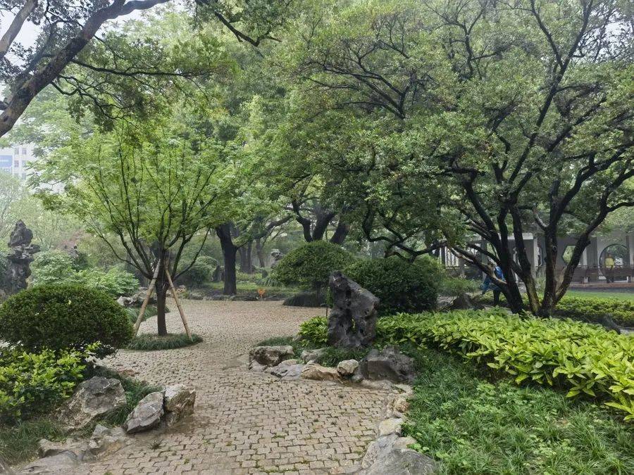 WNBA成绩
_紧急提醒：瞬间爆发！上海市民崩溃：密密麻麻WNBA成绩
，蠕蠕爬行...“梧桐区”已开始战斗，白蚁或提前分飞