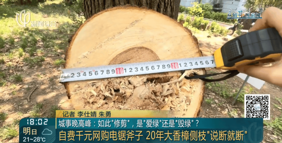 皇冠信用網在线申请
_上海一小区20年香樟说砍就砍皇冠信用網在线申请
!八旬老爷叔:拿我怎么样?