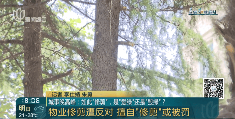 皇冠信用網在线申请
_上海一小区20年香樟说砍就砍皇冠信用網在线申请
!八旬老爷叔:拿我怎么样?