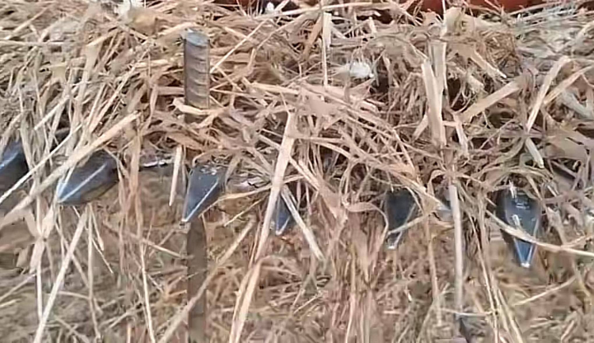 皇冠体育App下载
_河北邯郸一处麦田被投放金属尖锐物致收割机受损皇冠体育App下载
！警方已立案