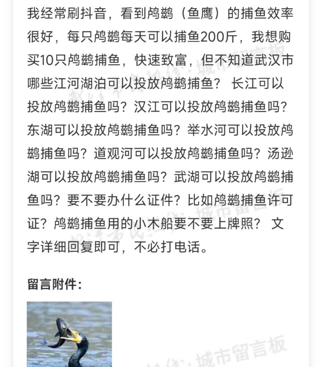 洛杉矶v艾斯柏兰斯_市民欲买10只鸬鹚在长江捕鱼致富洛杉矶v艾斯柏兰斯,水务局:它是禁用渔具,在禁渔区使用最高可判三年