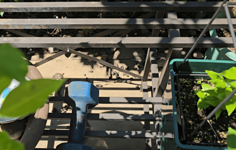 皇冠信用网在线申请_上海一小区居民苦恼新邻居：突然搬来让人提心吊胆皇冠信用网在线申请！不能抓不能打