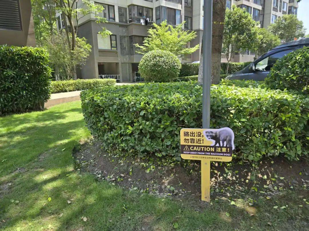 皇冠信用网在线申请_上海一小区居民苦恼新邻居：突然搬来让人提心吊胆皇冠信用网在线申请！不能抓不能打