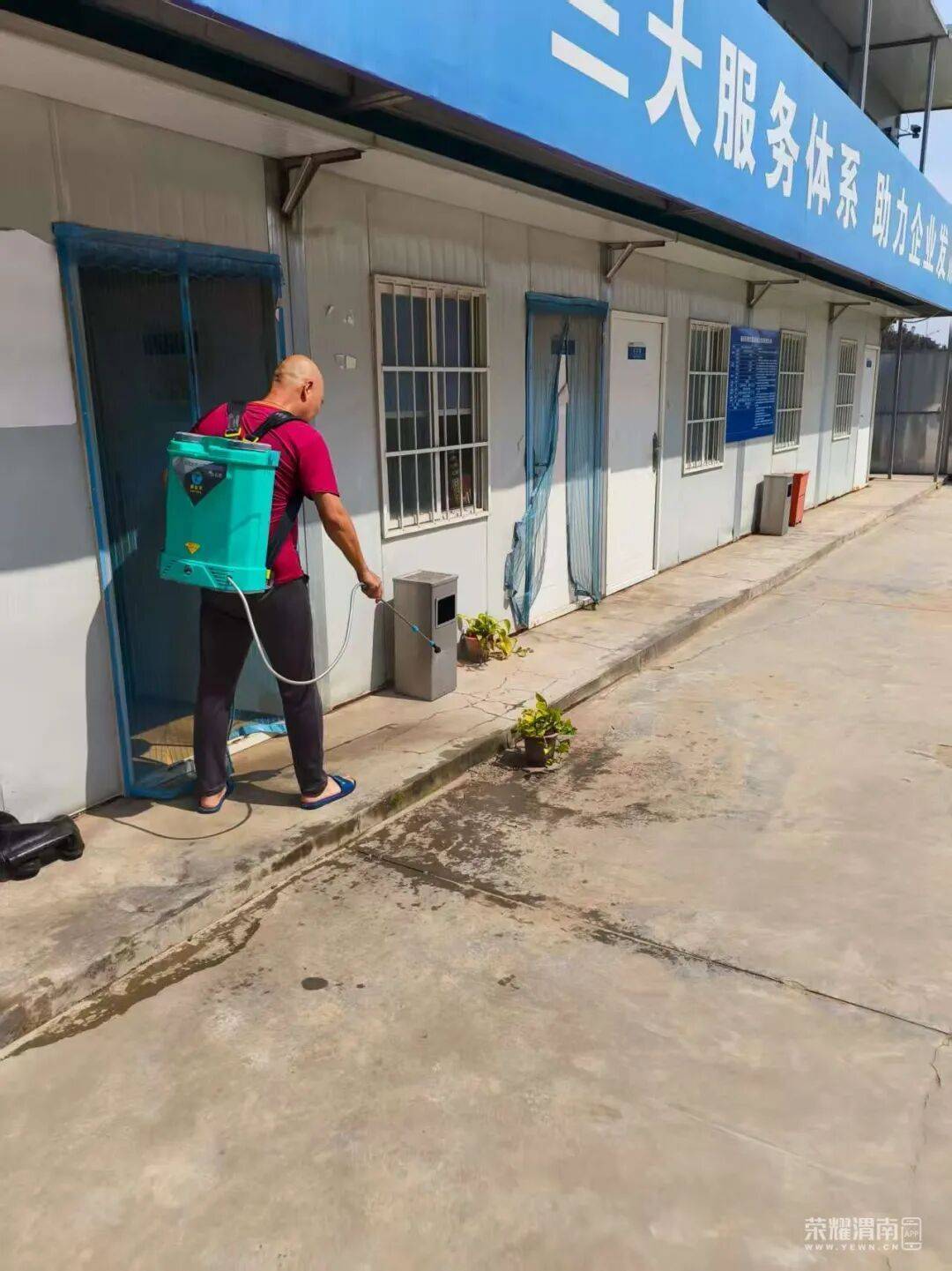 皇冠信用盘_西安多区发现隐翅虫?千万别拍皇冠信用盘!毒液堪比硫酸