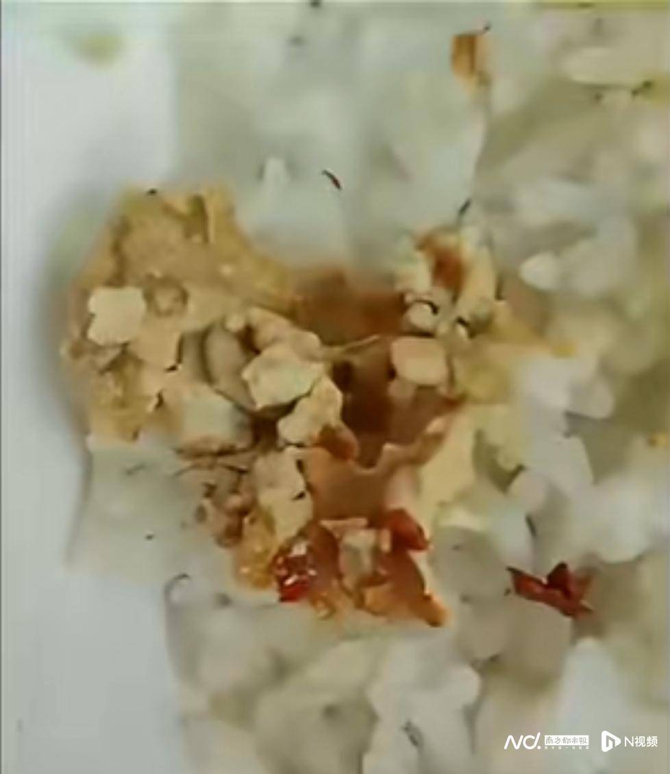 网上买球怎么买
_事发佛山网上买球怎么买
！有市民网购的豆腐乳内有蛆虫蠕动